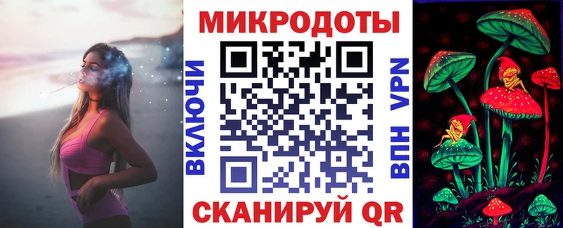 Псилоцибиновые грибы Psilocybe Екатеринбург